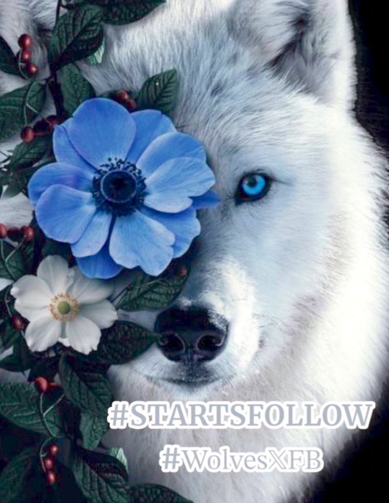 ぱぴこ❤ (@papiko7890) on Twitter photo <a href="/florchicana/">Selene 𝕏🖤Perfectly imperfect 🖤❌DM❌</a> <a href="/WolvesXFB/">Wolves𝕏FB 🐺FAN Account</a> <a href="/SwanvampBella/">Isabella Marie Swan Cullen 🌚🌝🌛🌜</a> <a href="/B_Brusau/">⚜ Bárbara ⚜</a> <a href="/_Di_Melo_Zeno/">🌻Z€N@_Mel@🌻</a> <a href="/EvilDoma/">𝐿𝑖𝑛𝑑𝑠𝑎𝑦=that tiny human</a> <a href="/S2_CarlaS2/">꧁༺Carla༻꧂#EliFriends━★✼☆</a> <a href="/JennyDazze/">𝒥ℯ𝓃𝓃𝓎࿐🦋</a> <a href="/osyarenistylish/">💃𝕠𝕤𝕪𝕒𝕣𝕖𝕟𝕚𝕤𝕥𝕪𝕝𝕚𝕤𝕙🏋️お洒落にスタイリッシュ🕺</a> <a href="/PAYthe_PIPER/">PIPER #MAGA GAINS</a> <a href="/osyastar777/">🍾🥂🧁🥐🍫Ⓞⓢⓨⓐⓢⓣⓐⓡ🌏🕊️🤝🕊️🌏</a> <a href="/CarlosOchoa_G/">CARLOS</a> <a href="/NawarAllawi/">#NawarAllawi 🌿🕊❤🦂_نوار</a> <a href="/WALLI27/">Jhon f perez🎶🎸🚵☯</a> <a href="/SantosNer2/">O ILUSIONISTA ®️</a> <a href="/_MaryEly_/">💛 𑜞᭄ MaryEly🌻</a> <a href="/Charlizefanart/">Charlize Theron Fanart</a> <a href="/nuvisionquestt3/">🦅NU_VISION_QUEST_TYPE3🏹</a> <a href="/kamil_gk/">kamil ali gök</a> #STARTSFOLLOW🌟
#WolvesXFB♠️
My dear lovely friend⸜( ˶'ᵕ'˶)⸝🖤❤️🖤
<a href="/florchicana/">Selene 𝕏🖤Perfectly imperfect 🖤❌DM❌</a> 🤝🏻🥰🥰
Thanks for the mention( *ˊᵕˋ)ノ🌸🫧🫧🍓🫧*:.。❁💗🌸🫧🌸🫧🫧🍓🫧*:.。❁💗🌸🫧🍓
❤️🖤❤️𝐇𝐚𝐯𝐞 𝐚 𝐧𝐢𝐜𝐞 𝐝𝐚𝐲❤️🖤❤️ <a href="/florchicana/">Selene 𝕏🖤Perfectly imperfect 🖤❌DM❌</a> <a href="/WolvesXFB/">Wolves𝕏FB 🐺FAN Account</a> <a href="/SwanvampBella/">Isabella Marie Swan Cullen 🌚🌝🌛🌜</a> <a href="/B_Brusau/">⚜ Bárbara ⚜</a> <a href="/_Di_Melo_Zeno/">🌻Z€N@_Mel@🌻</a> <a href="/EvilDoma/">𝐿𝑖𝑛𝑑𝑠𝑎𝑦=that tiny human</a> <a href="/S2_CarlaS2/">꧁༺Carla༻꧂#EliFriends━★✼☆</a> <a href="/JennyDazze/">𝒥ℯ𝓃𝓃𝓎࿐🦋</a> <a href="/osyarenistylish/">💃𝕠𝕤𝕪𝕒𝕣𝕖𝕟𝕚𝕤𝕥𝕪𝕝𝕚𝕤𝕙🏋️お洒落にスタイリッシュ🕺</a> <a href="/PAYthe_PIPER/">PIPER #MAGA GAINS</a> <a href="/osyastar777/">🍾🥂🧁🥐🍫Ⓞⓢⓨⓐⓢⓣⓐⓡ🌏🕊️🤝🕊️🌏</a> <a href="/CarlosOchoa_G/">CARLOS</a> <a href="/NawarAllawi/">#NawarAllawi 🌿🕊❤🦂_نوار</a> <a href="/WALLI27/">Jhon f perez🎶🎸🚵☯</a> <a href="/SantosNer2/">O ILUSIONISTA ®️</a> <a href="/_MaryEly_/">💛 𑜞᭄ MaryEly🌻</a> <a href="/Charlizefanart/">Charlize Theron Fanart</a> <a href="/nuvisionquestt3/">🦅NU_VISION_QUEST_TYPE3🏹</a> <a href="/kamil_gk/">kamil ali gök</a> #STARTSFOLLOW🌟
#WolvesXFB♠️
My dear lovely friend⸜( ˶'ᵕ'˶)⸝🖤❤️🖤
<a href="/florchicana/">Selene 𝕏🖤Perfectly imperfect 🖤❌DM❌</a> 🤝🏻🥰🥰
Thanks for the mention( *ˊᵕˋ)ノ🌸🫧🫧🍓🫧*:.。❁💗🌸🫧🌸🫧🫧🍓🫧*:.。❁💗🌸🫧🍓
❤️🖤❤️𝐇𝐚𝐯𝐞 𝐚 𝐧𝐢𝐜𝐞 𝐝𝐚𝐲❤️🖤❤️