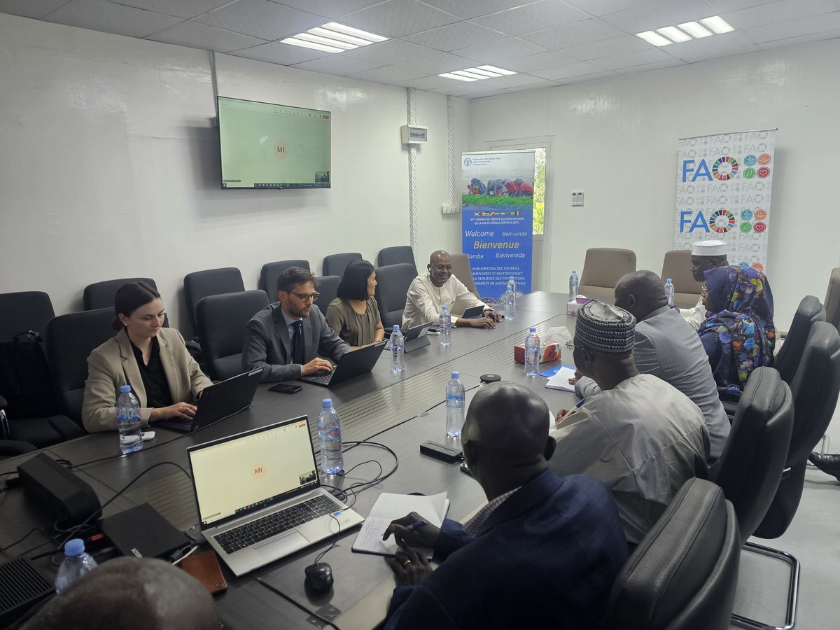 L'expertise du FMI et de la FAO réunie avec la vision stratégique du Directeur Général du Trésor et de la Comptabilité Publique. Une rencontre prometteuse pour aborder des enjeux clés s'est tenue ce 7 mai 2025 à la Représentation de la FAOTD. #Finance #Agriculture #Stratégie