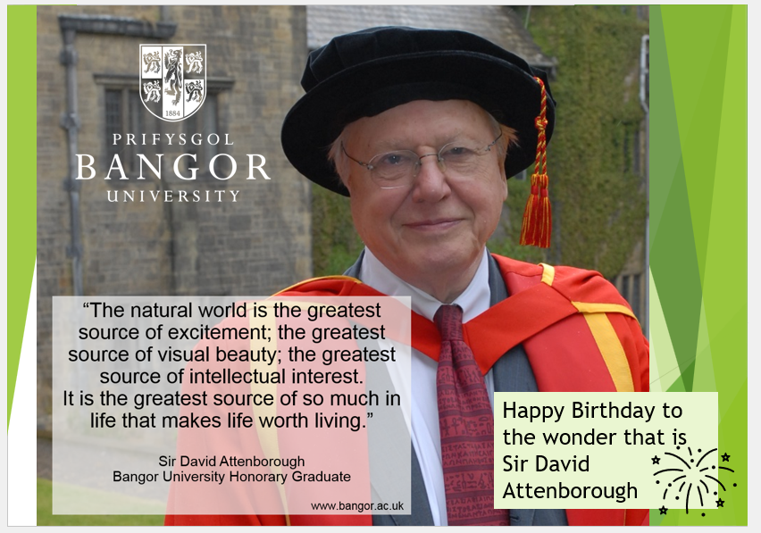 BangorBioZoo's tweet image. Today is the 99th (!) birthday of one of the world's greatest naturalists and one of Bangor University’s most famous honorary graduates – Sir David Attenborough! If Sir David has inspired your interest in the wonders of the natural world show your support #SirDavidAttenborough