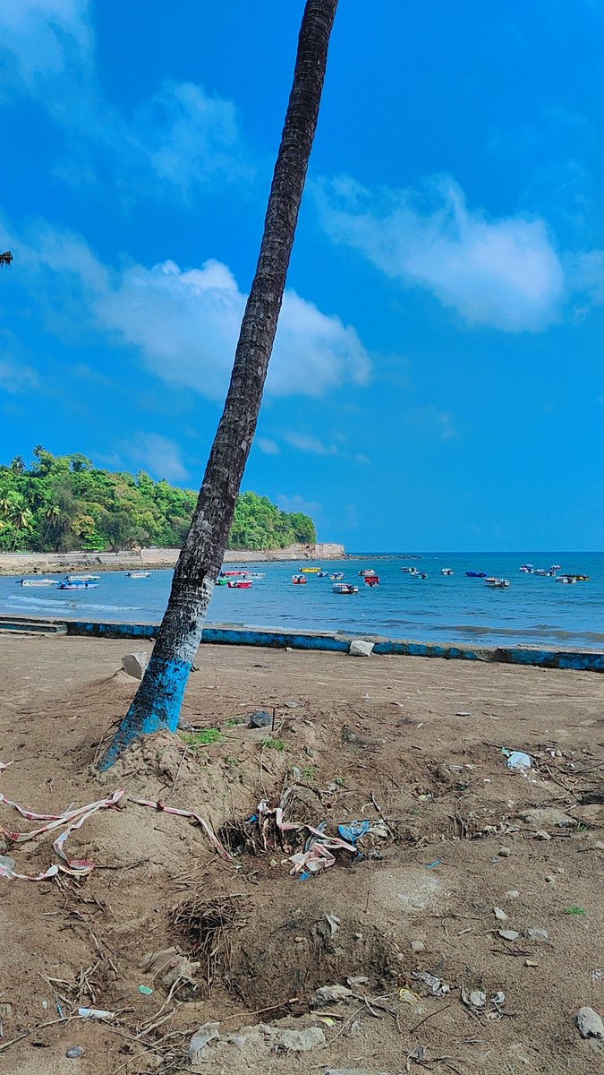 Sumit Sharma tweet media