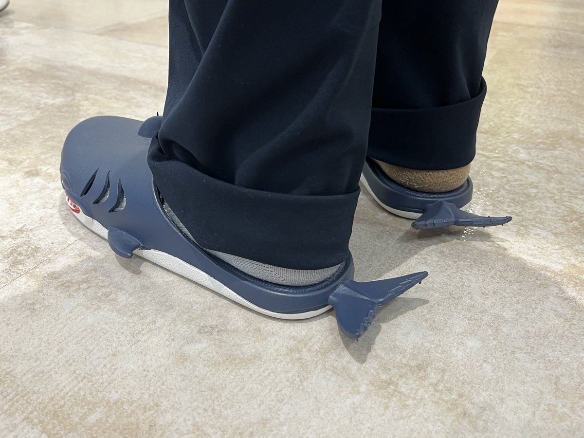 サメがサンダルに？！

後ろから見てもかわいい尾びれつき！

通気性バッチリな鰓穴も🦈

おうちに1足いかが？
yogyoya.official.ec/items/104748666