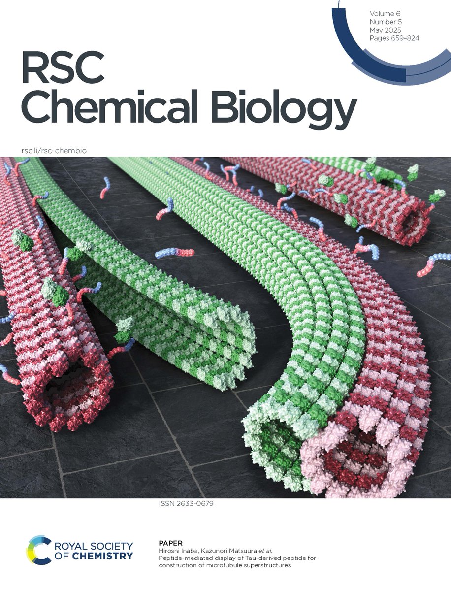 Matsuura Laboratory / Tottori Univ., Chemistry (@matsuuralabora1) on Twitter photo Our article on the construction of microtubule superstructures (doublet microtubules) using designed peptide has been featured on the cover of <a href="/rsc_chembio/">RSC Chemical Biology</a> !! Our article on the construction of microtubule superstructures (doublet microtubules) using designed peptide has been featured on the cover of <a href="/rsc_chembio/">RSC Chemical Biology</a> !!