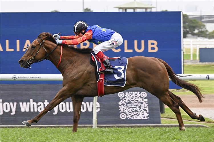 Bella Nipotina’s appearance at the Chairman’s Sale lived up to expectations with The Everest winner setting a new record for the highest-priced lot of the prized offering. 
racingandsports.com.au/news/racing/ne…