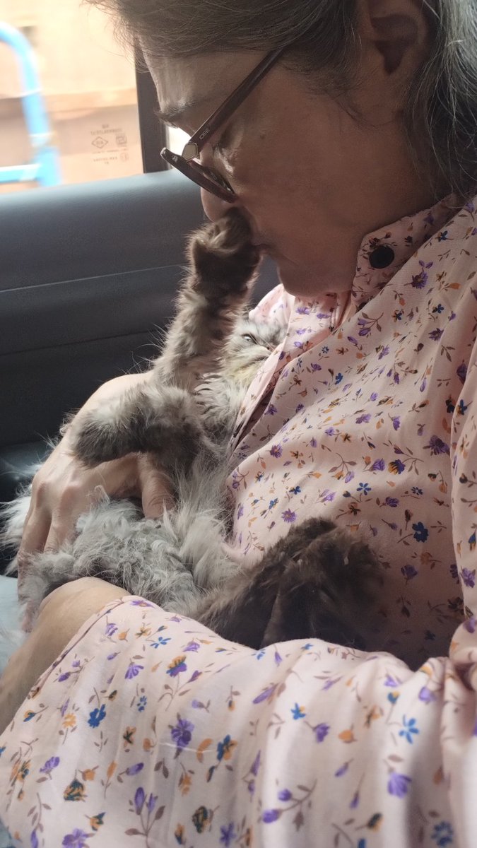 Dear friends these may be Mishka's last days, weeks, and if we are incredibly lucky then perhaps months. We have put her on palliative care to just relieve her pain and discomfort, in hope that she can enjoy the rest of time with grace and dignity. We are devastated. 💔