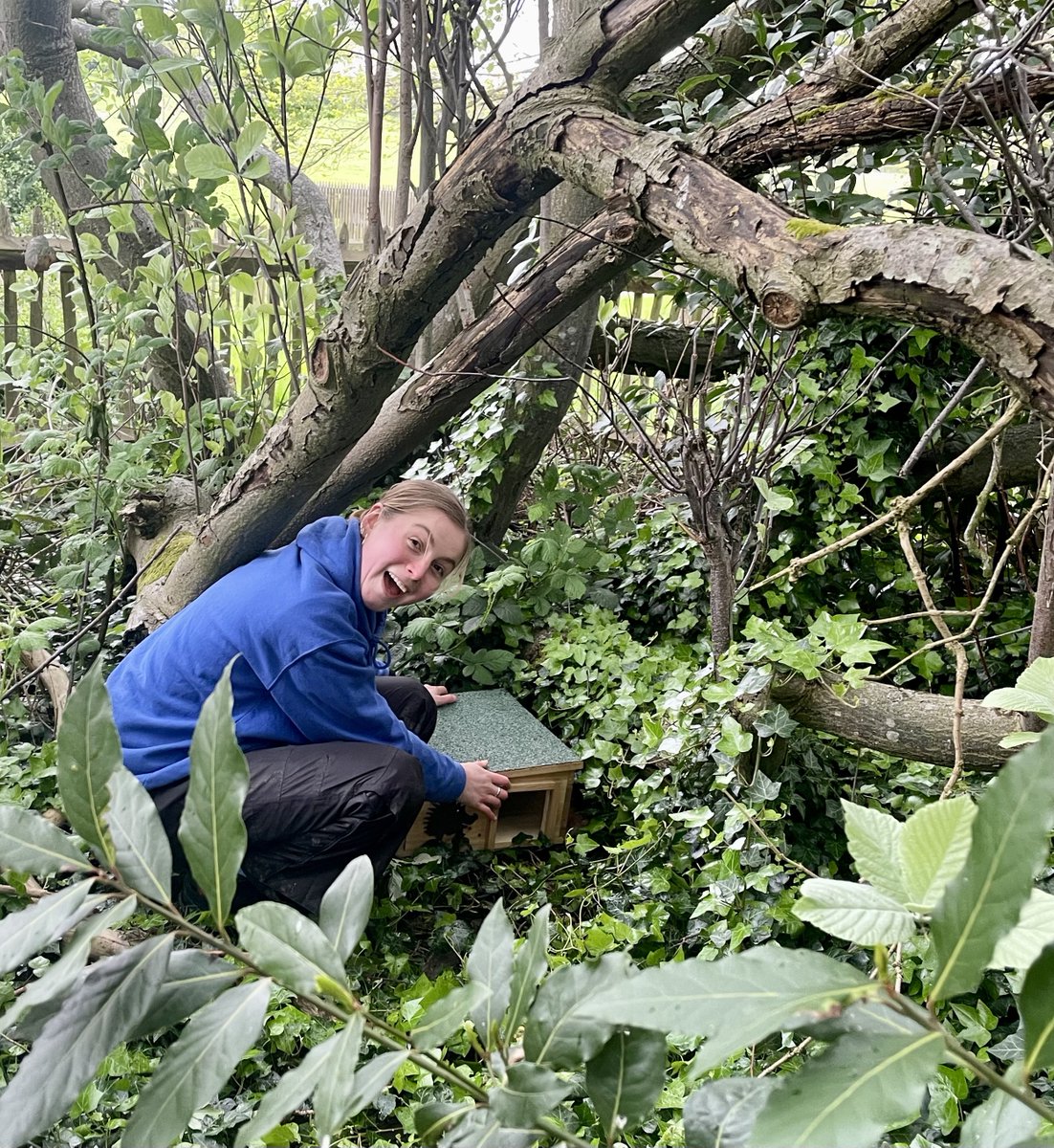 Heath Hands (@heathhands) on Twitter photo It's #hedgehogawarenessweek - so a good time to update you on our latest hog activities on the Heath!
Our focus this month has been on checking hog boxes and fence gaps and preparing for a Highgate Wood survey in June with <a href="/LondonHogWatch/">LondonHogWatch</a>
Find out more: heath-hands.org.uk/wildlifeconnec… It's #hedgehogawarenessweek - so a good time to update you on our latest hog activities on the Heath!
Our focus this month has been on checking hog boxes and fence gaps and preparing for a Highgate Wood survey in June with <a href="/LondonHogWatch/">LondonHogWatch</a>
Find out more: heath-hands.org.uk/wildlifeconnec…