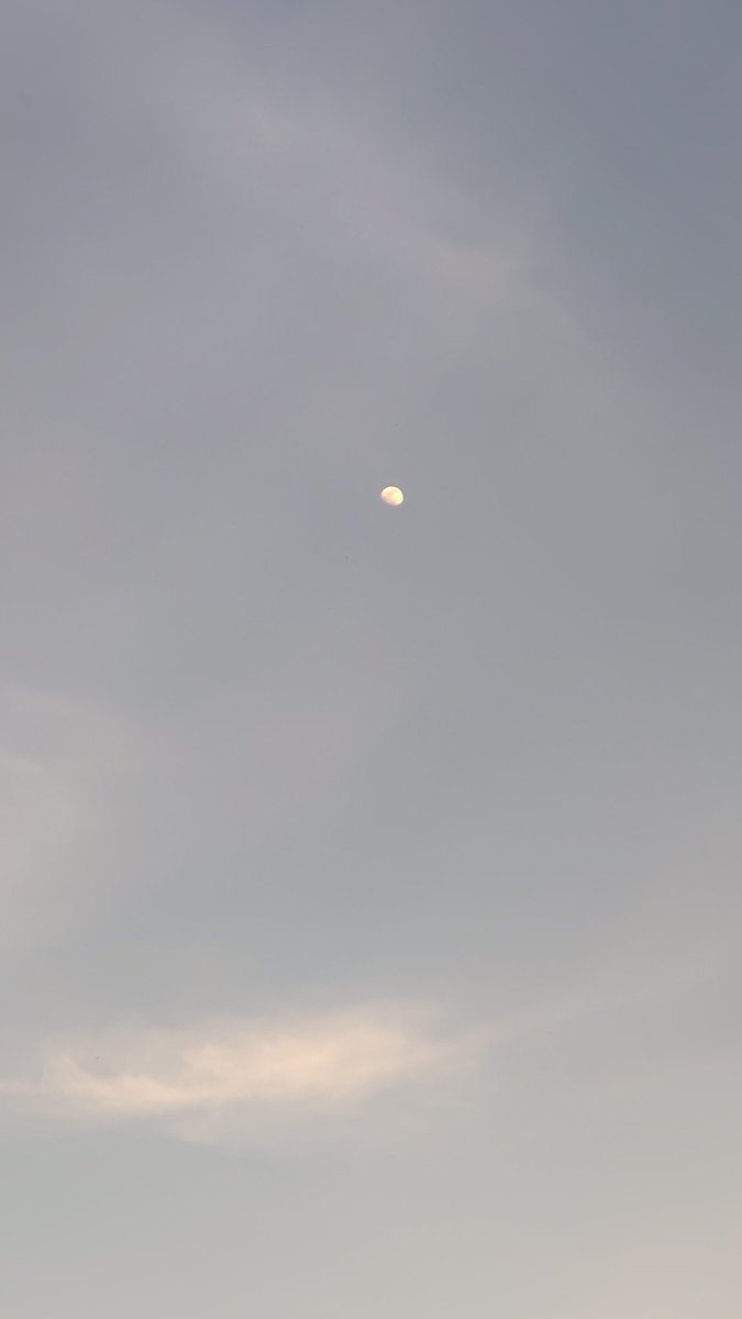 ただいまぁ(´• _ ก` )

みんなお疲れ様でした
みんなおかえりなさい

みんなの
夜がいい夜になりますように。