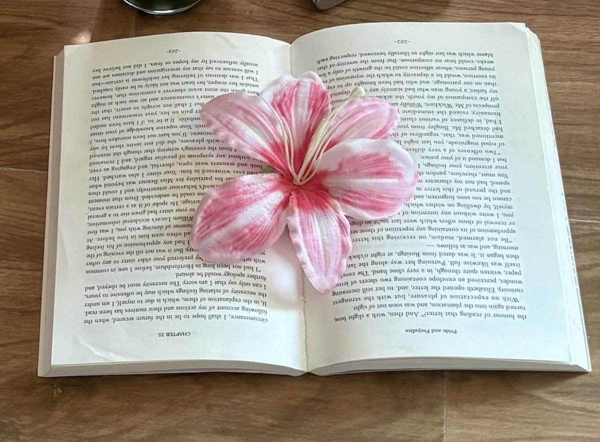 Lily ✮⋆˙ tweet media