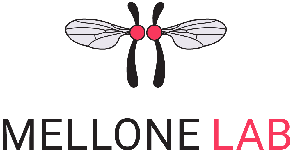 New logo by Ella Maru Studio Inc for the Mellone Lab 🪰

👩‍🔬Mellone group explores how cells pass on genetic information with precision, focusing on #centromeres, the critical regions that guide #chromosome segregation during division. Using the genetic power of #Drosophila, they