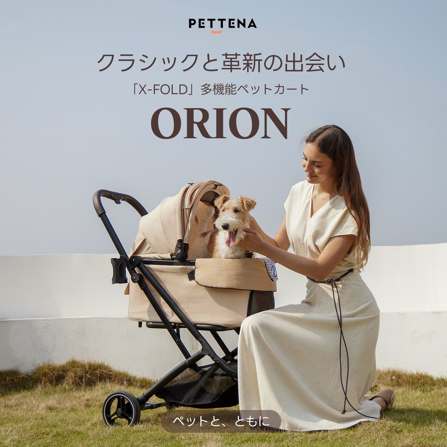 PETTENA ORION ペットカート 3秒で折りたためる分離式ペットカート PETTENA｜中型犬・多頭