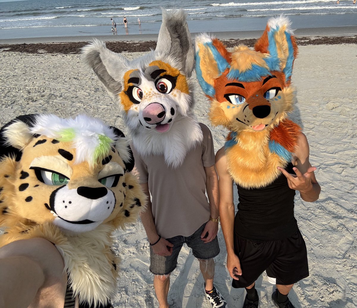 Mitzy ๐พ ๐ FWA (@mitzyfluff) on Twitter photo weโre COMING
Florida was crazy, now time for #FWA2025
w/ <a href="/VanHyena/">Van ๐ MP</a> & <a href="/ApolloTheFolf/">ApolloFolfsky๐MP</a> ๐๐ weโre COMING
Florida was crazy, now time for #FWA2025
w/ <a href="/VanHyena/">Van ๐ MP</a> & <a href="/ApolloTheFolf/">ApolloFolfsky๐MP</a> ๐๐