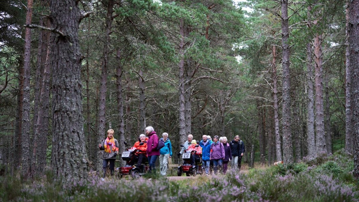 Paths for All (@pathsforall) on Twitter photo For #GreenHealthWeek, we teamed up with our friends <a href="/cairngormsnews/">Cairngorms National Park</a> to highlight the power of walking and wheeling in nature.
Mike Woolvin, Volunteer Manager at the National Park, shares how Health Walks support the wellbeing of local people.
Read more: pathsforall.org.uk/blog/blog-post… For #GreenHealthWeek, we teamed up with our friends <a href="/cairngormsnews/">Cairngorms National Park</a> to highlight the power of walking and wheeling in nature.
Mike Woolvin, Volunteer Manager at the National Park, shares how Health Walks support the wellbeing of local people.
Read more: pathsforall.org.uk/blog/blog-post…