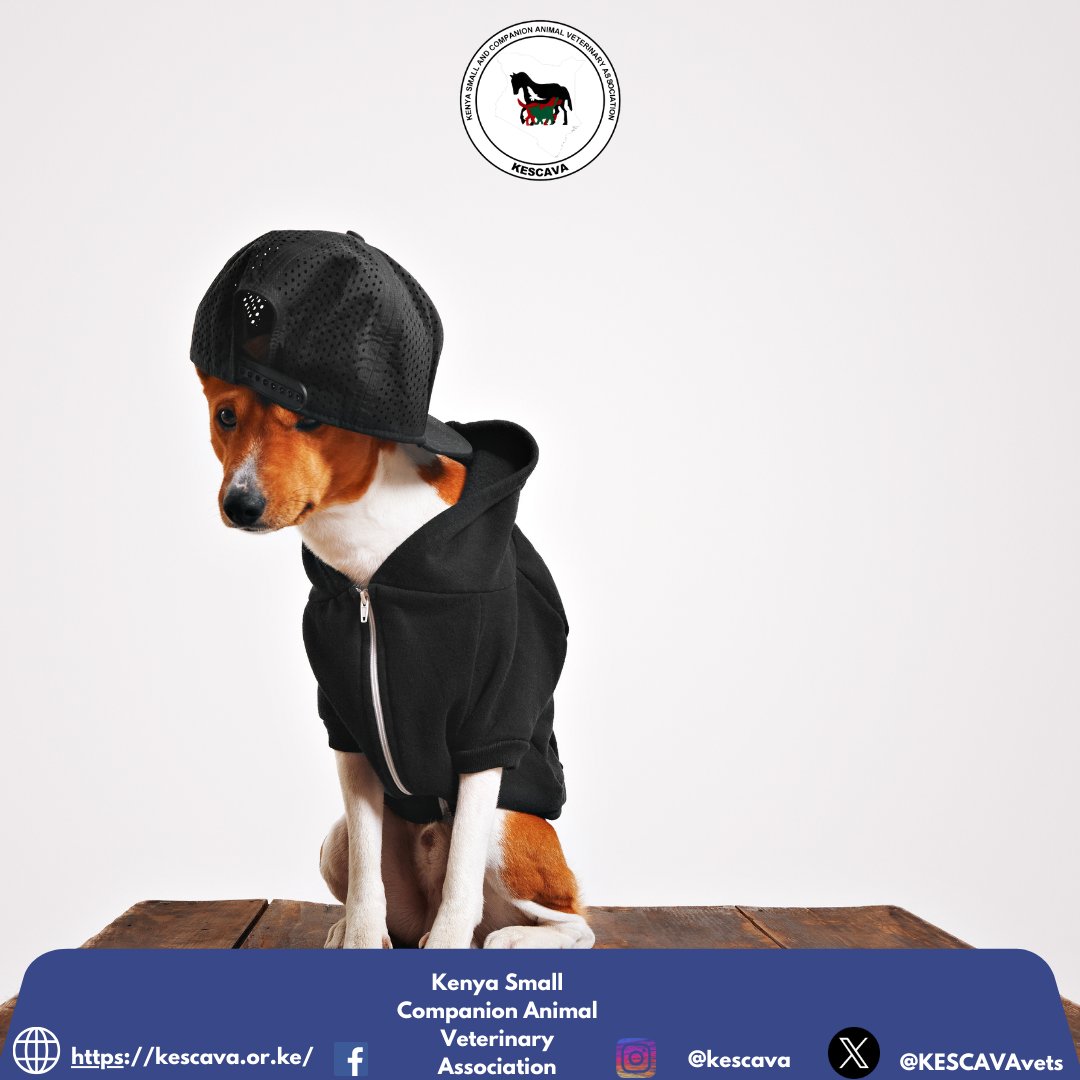 It's a Fur-tograph Friday! 📸

Share your pet’s most dramatic pose. Bonus points for tongue out or one ear up! 🎬🐾

#FurFriday