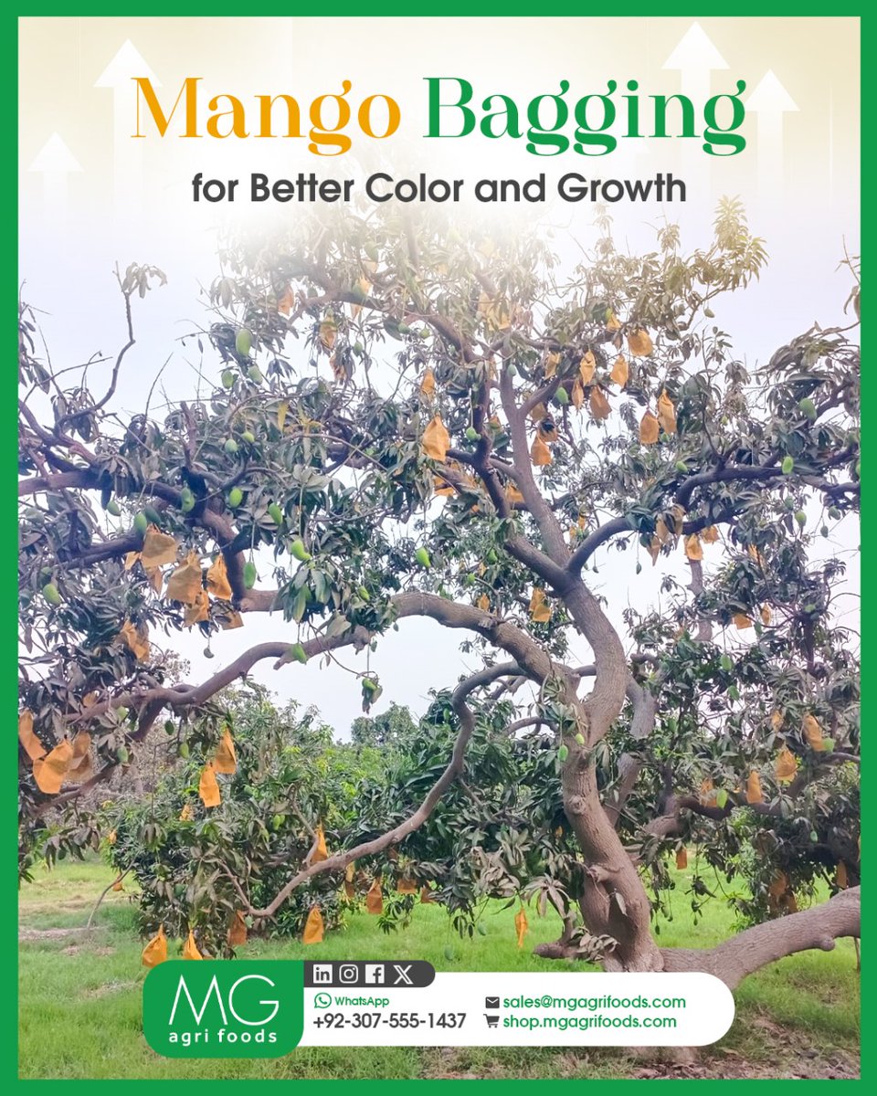 MG Agri Foods (Pvt) Ltd. tweet media