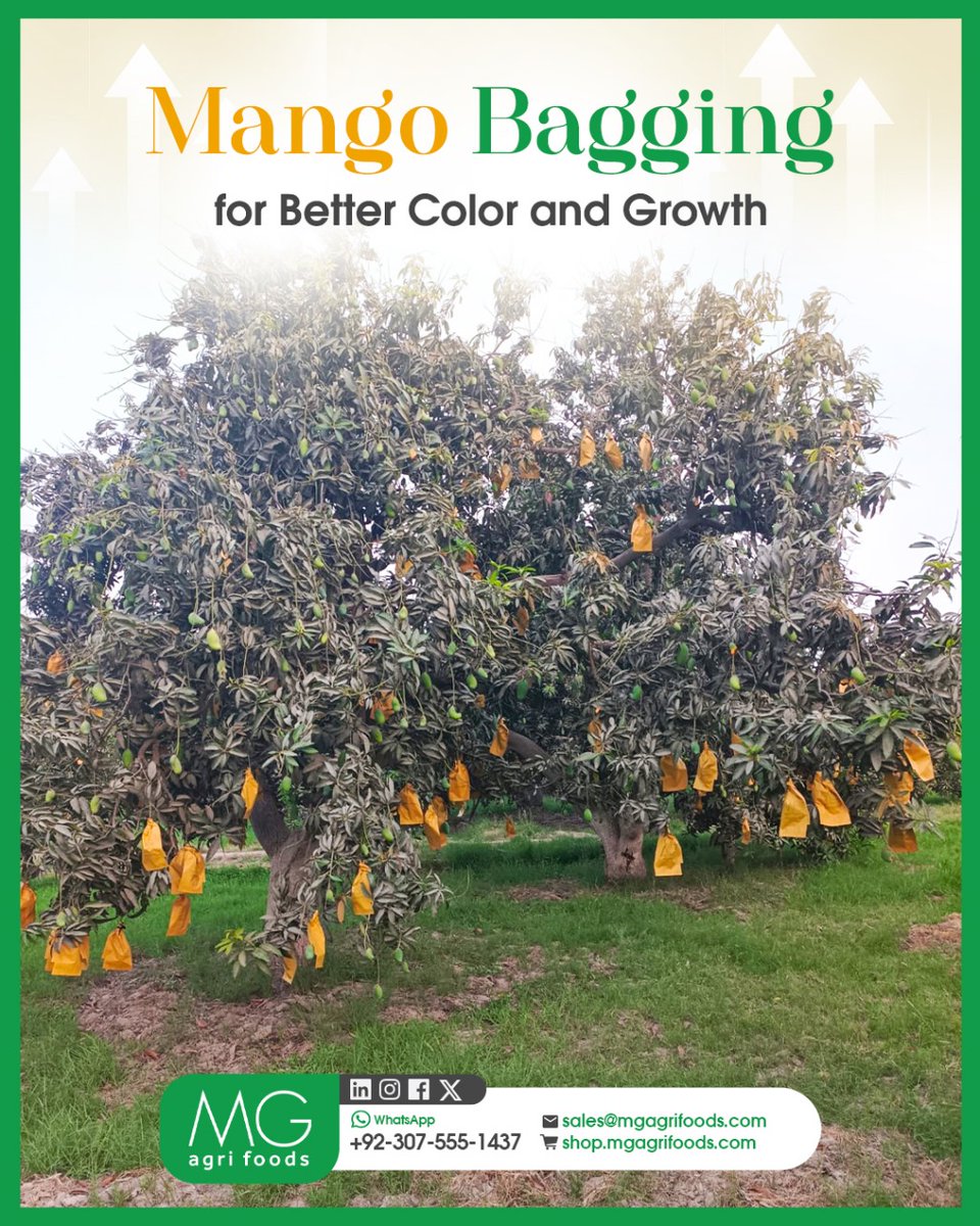 MG Agri Foods (Pvt) Ltd. tweet media