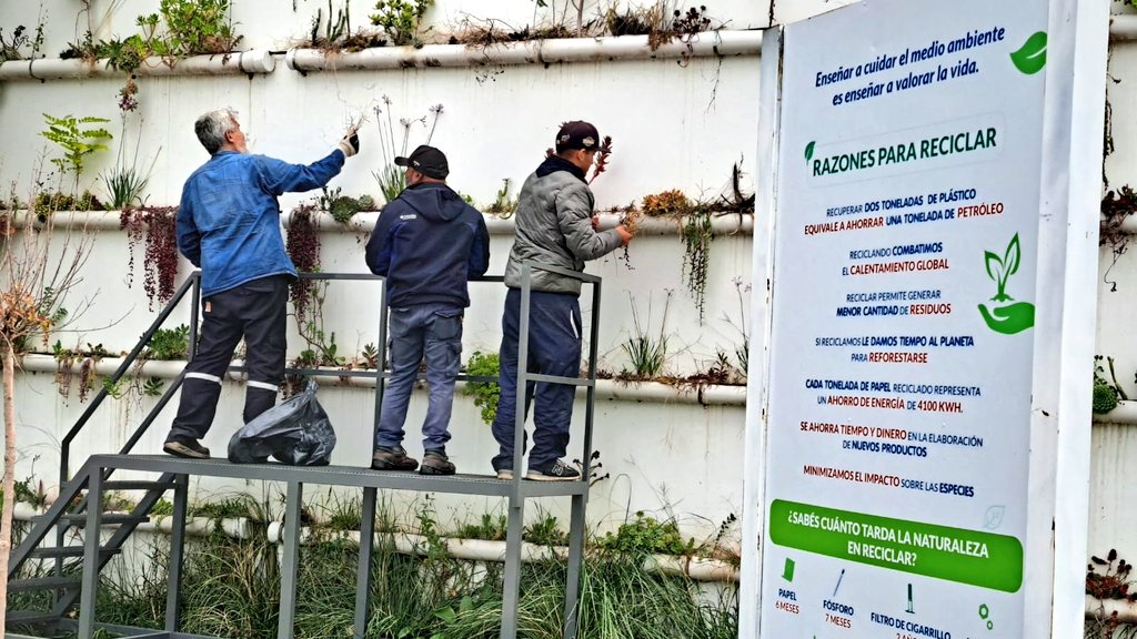 Val_Fabian's tweet photo. Ayer con parte del equipo de #HuertasDeLaCiudad🍅🥦🌼 realizamos tareas de mantenimiento y trasplante de ornamentales en el espacio verde del #Ecopunto♻️ Norte de Castelli al 2700.
Este centro recibe residuos reciclables como papel, cartón, plásticos, metales, vidrio, telgopor y tetra pack.🙌
Está abierto de lunes a viernes de 6 a 20 hs y sabados/feriados de 7 a 19 hs.
¡Sigamos poniendonos de pie en equipo! ♻️