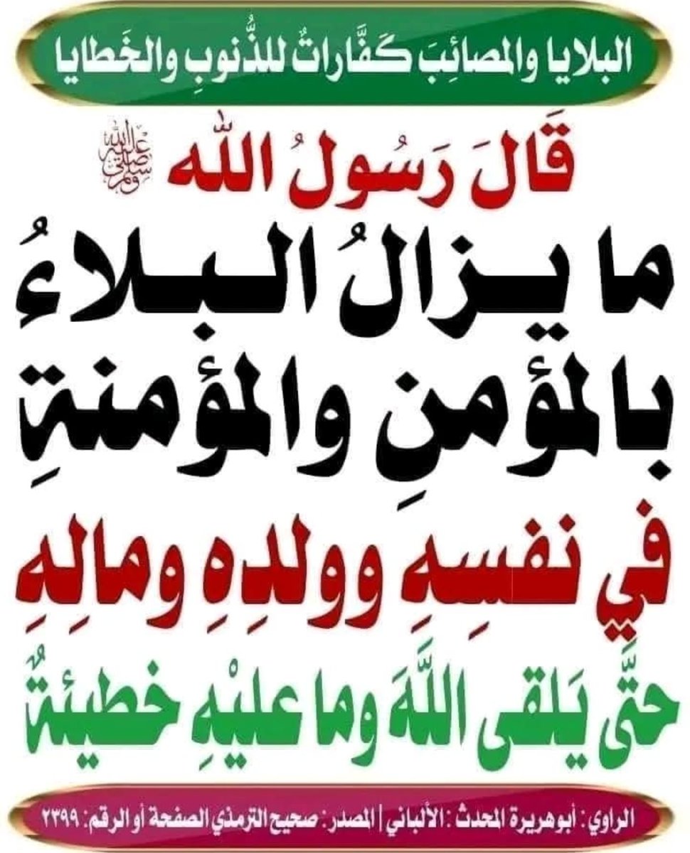 saeedalkamali11's tweet photo. https://t.co/teGZbjrTbq