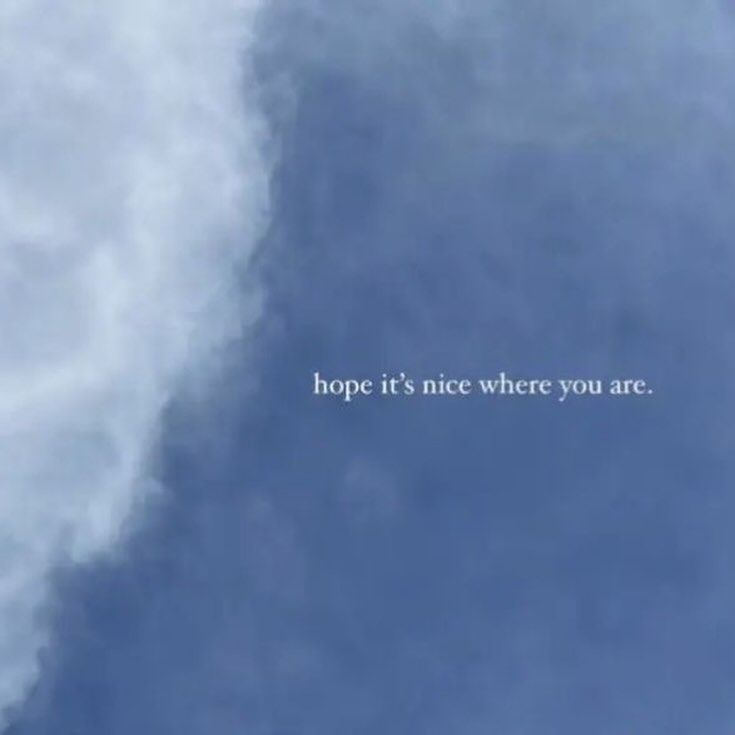 iamrvian's tweet image. 