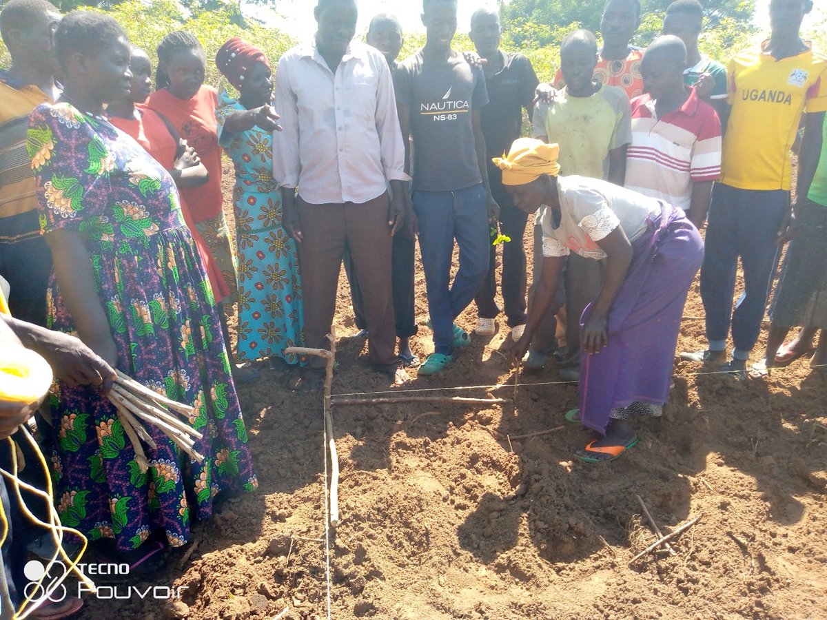 upscale_h2020's tweet image. 🌱 In Kumi District, Uganda, farmers are taking the lead in adopting #PPT to fight pests and weeds—thanks to hands-on training and strong community mobilisation.
🔗 upscale-h2020.eu/community-root…