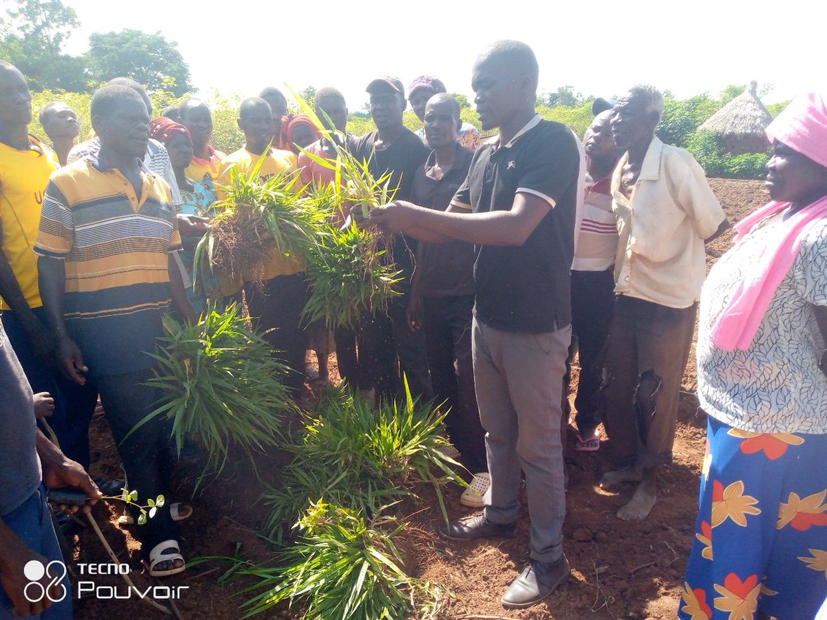 upscale_h2020's tweet image. 🌱 In Kumi District, Uganda, farmers are taking the lead in adopting #PPT to fight pests and weeds—thanks to hands-on training and strong community mobilisation.
🔗 upscale-h2020.eu/community-root…