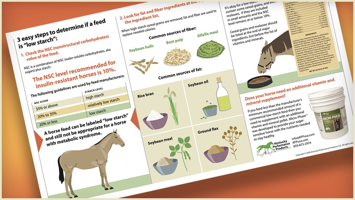 Here are 3 easy steps to determine if a horse feed is “low starch” enough for your insulin resistant (IR) horse: loom.ly/BhgsnkQ