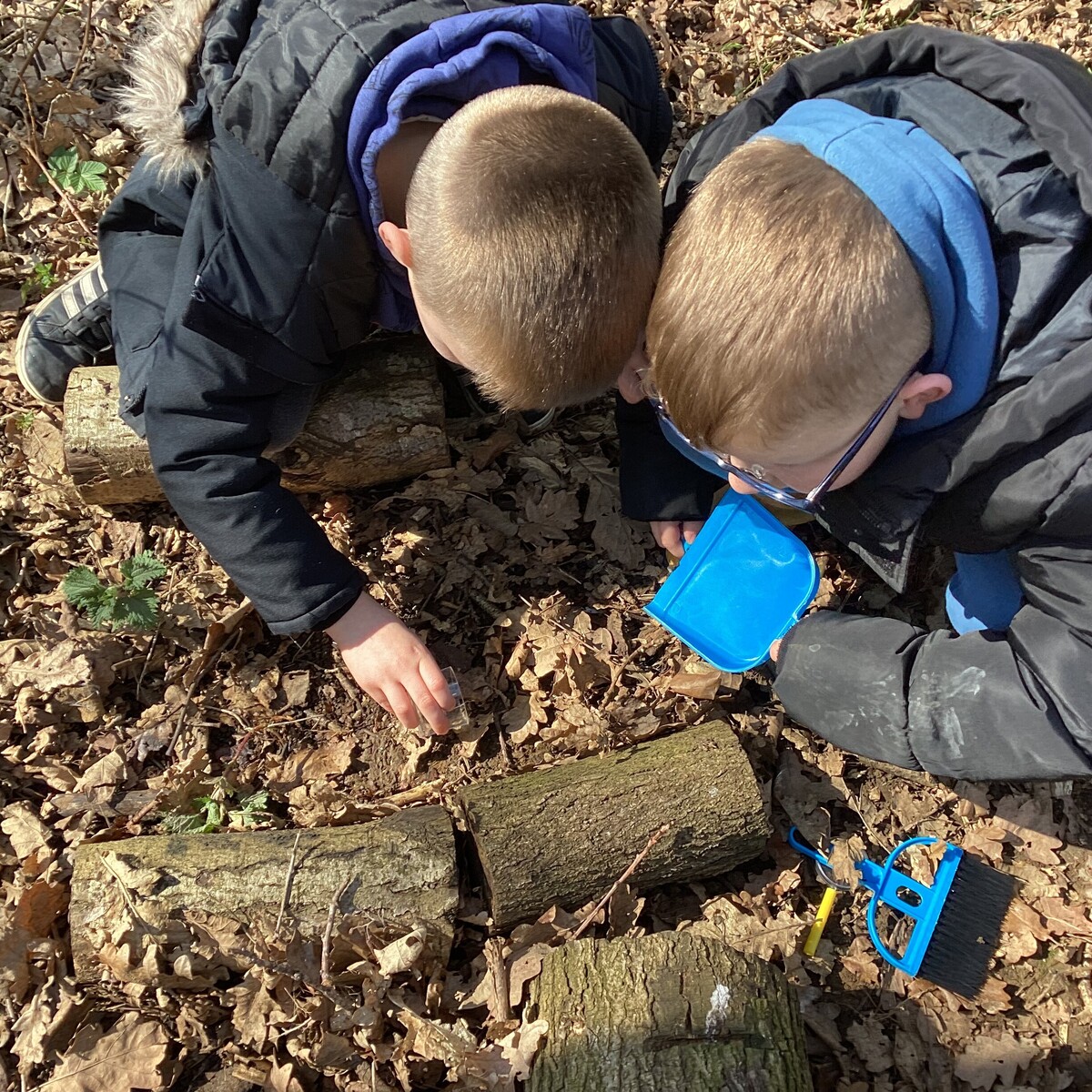 TheCrownEstate's tweet image. We’re teaming up with @CountryTrust to host 40+ farm visits for 1,000 children from disadvantaged areas - helping them connect with nature, farming and food.
Read more: thecrownestate.co.uk/news/new-partn…
#TheCrownEstate #Farming
