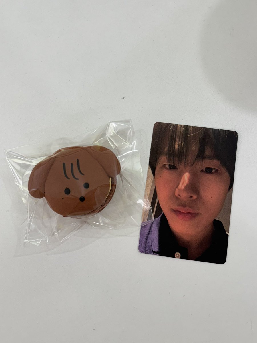 그 외계인이 사실은 강아지였다고 하는데요… 정말 무서워