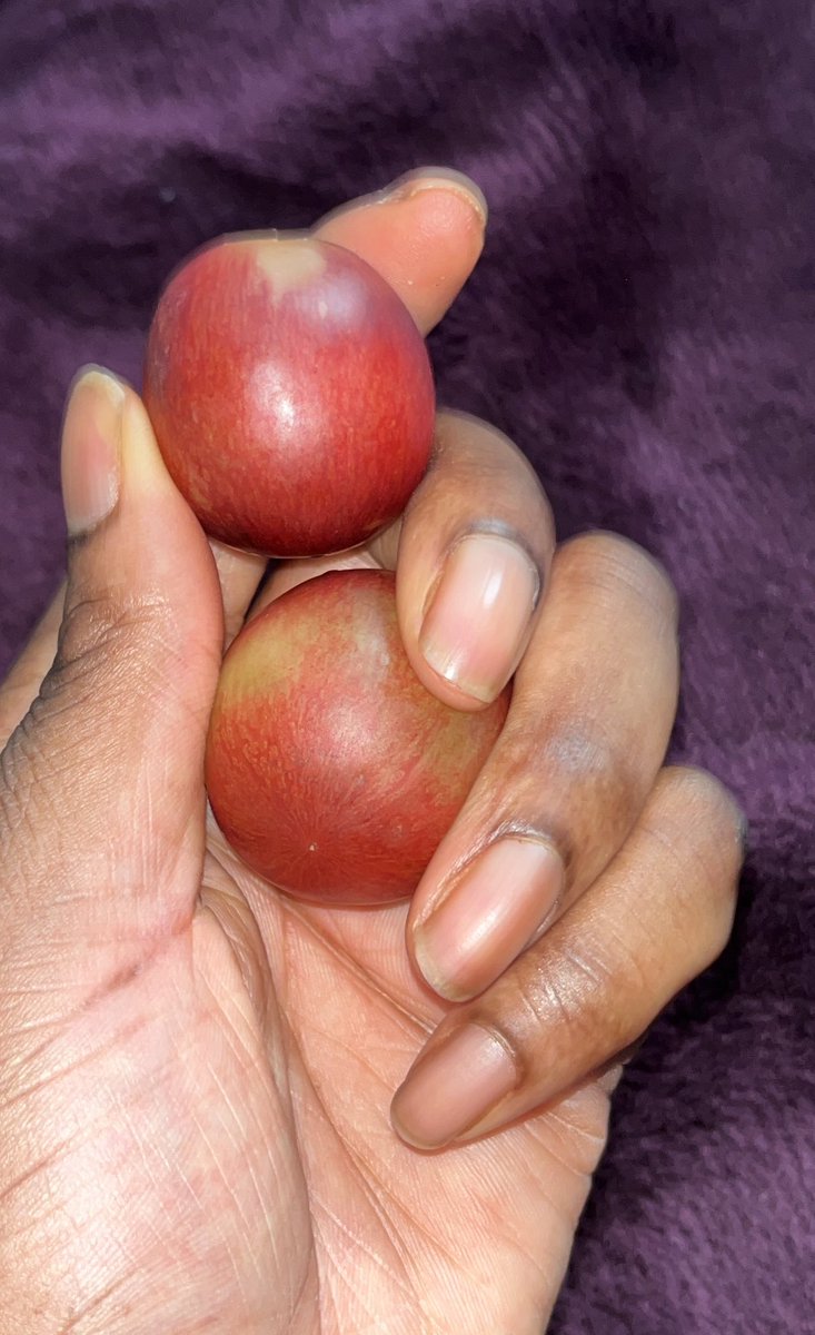 adesuwaeo's tweet photo. i have acquired my own #BigGrapes, they’re not as big as THE #BigGrape but they are indeed girthy https://t.co/hvJ8Vn3kEn