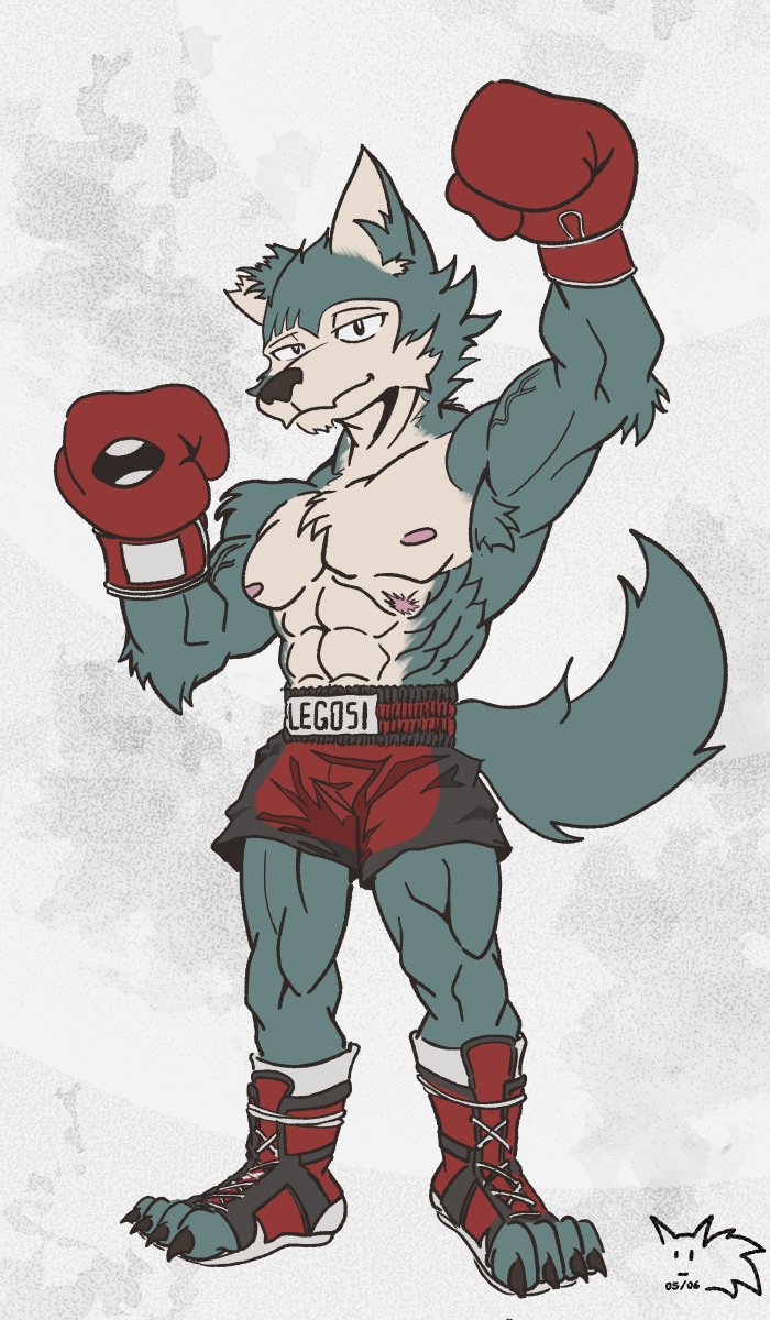 Been a while, sorry for the lack of updates.
Please have a Legoshi in fighting gear cause I can't stop drawing him like this. Please forgive me...
