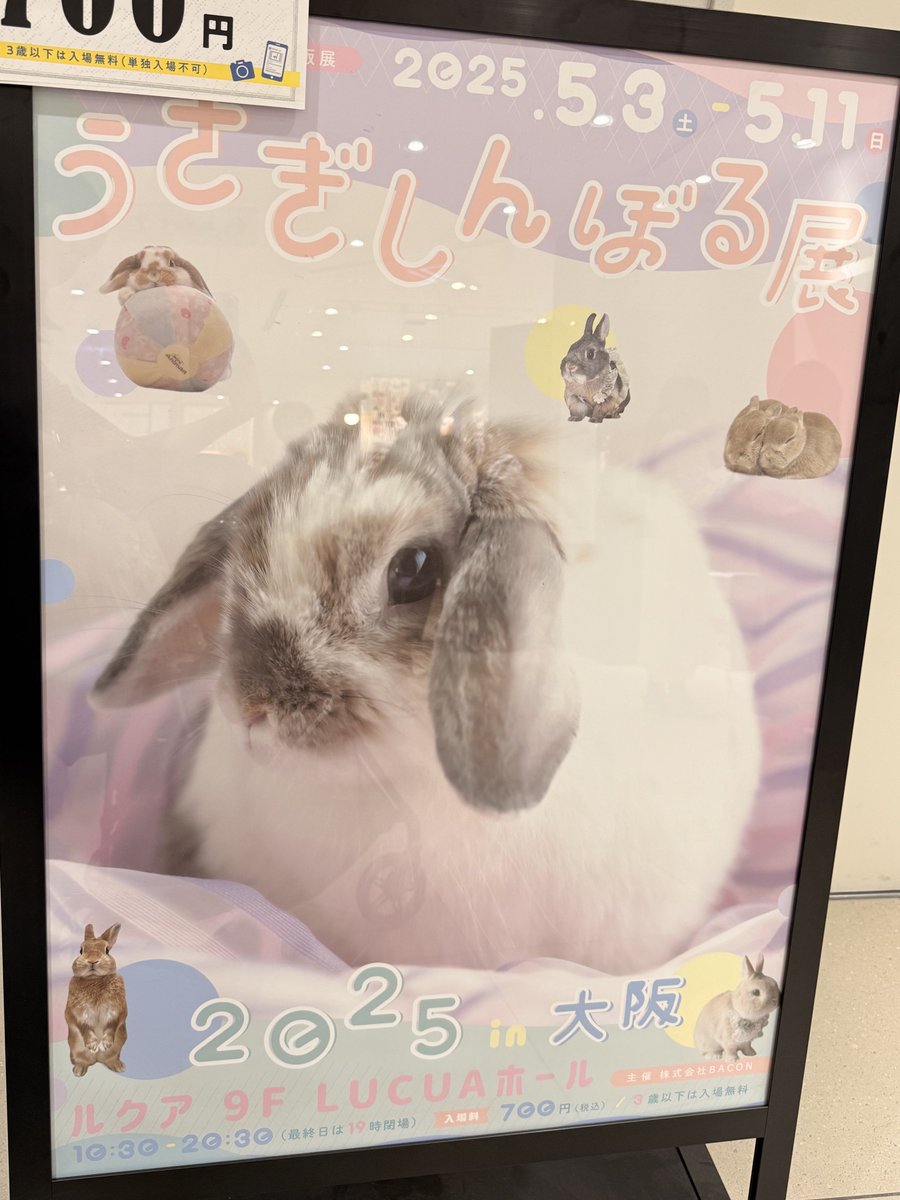 kurokurotsukipi's tweet image. 関西へ帰省した際に近く通りかかったので、うさぎしんぼる展へ行きました🐰
実家へのお土産とつきみおもちに似たコースターを。
娘もたくさんうさぎさんに会えて、嬉しそうでした✨ イベントスペースも広くて見やすかったです！
#うさぎしんぼる展
#veryberry
#kouglapin
#mofumofuusagi
