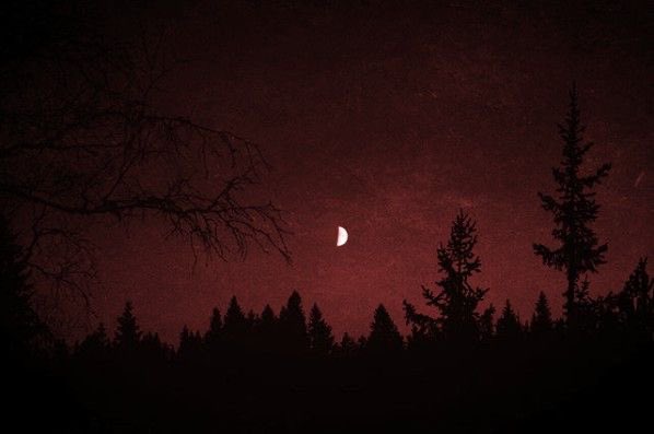 Kızıl gökyüzünün altında, yarım ayın soluk ışığı, karanlıkta siluetleşen çam ağaçlarına vuruyor. Sanki dünya, unutulmuş bir masalın son sayfasında donmuş gibi; hüzünlü, sessiz ve gizemli. Koyu Gölgeler, anlatılmamış bir acıyı saklıyor