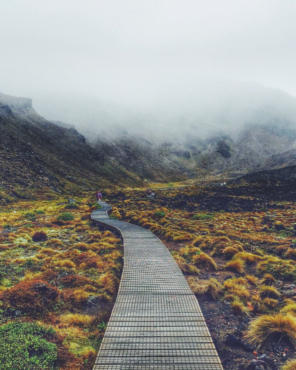 An estimated 25%-50% of people experiencing homelessness live with a mental health condition. #MentalHealthWeek reminds us that we all have different, yet equally valuable stories which can be used to share one key message: universal mental health care is important and needed now