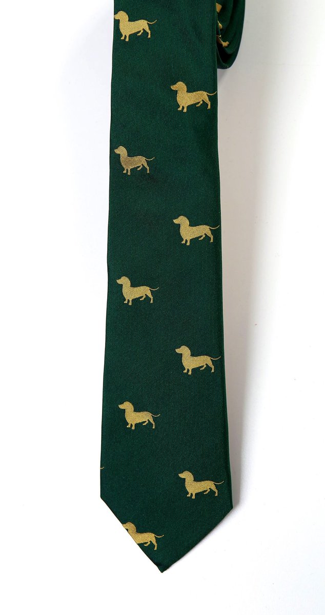 Aislinn von Schamanien 🇪🇺 tweet media