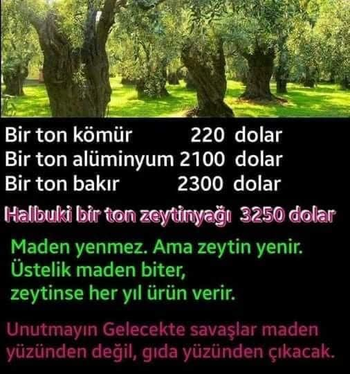 SahinNuri44's tweet photo. https://t.co/CCIzQUYRQz