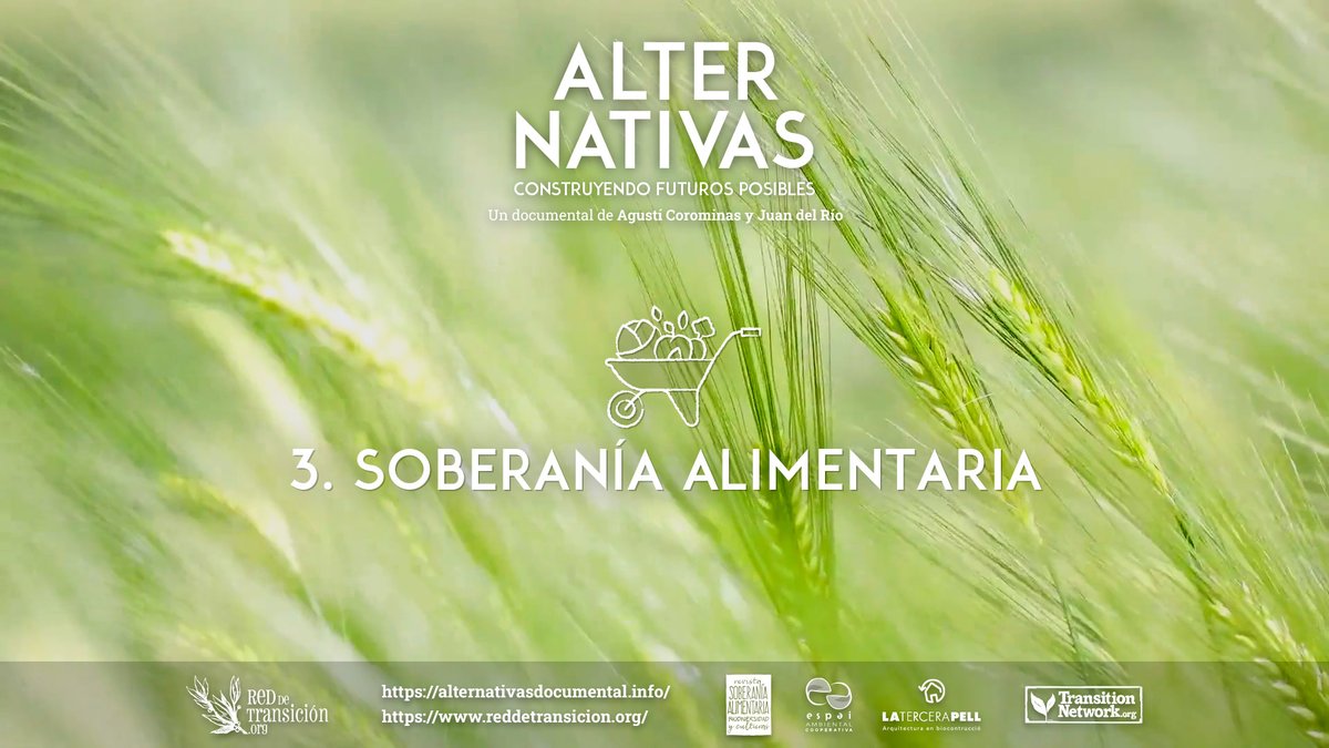 🥦 ¡Ya puedes ver el Capítulo 3 de AlterNativas sobre Soberanía Alimentaria!

Comer también es un acto político 🌱 Descubre iniciativas que están transformando cómo producimos y compartimos alimentos.

🎬 youtube.com/watch?v=E4Oo_o…