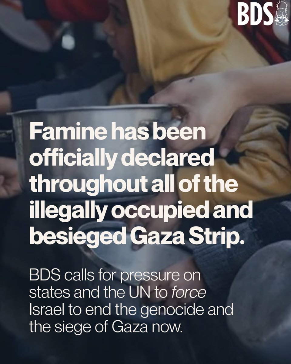 Famine has been officially declared throughout all of the illegally occupied and besieged Gaza Strip.

BDS calls for pressure on states and the UN to force Israel to end the genocide and the siege of Gaza now.