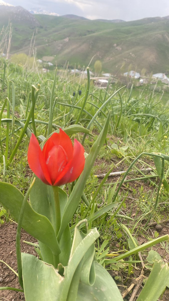 rojjdda's tweet photo. Colemerg/ Gewer
08.05.2025 https://t.co/1sBFQkNaHL