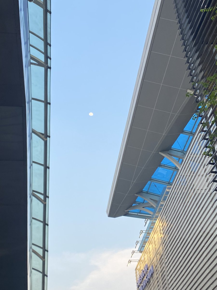 trang doan tweet media