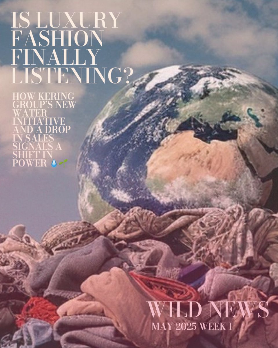 WILDFABRIKuae's tweet photo. Is luxury fashion finally listening? 👀

This month, the Kering Group  announced its boldest sustainability commitment yet: 💧 A Water-Positive Strategy that aims to restore more water than it uses by 2050.

Read the full story to know how this impacts you https://t.co/JY00s1DrYx https://t.co/UtOsLZ4AAs