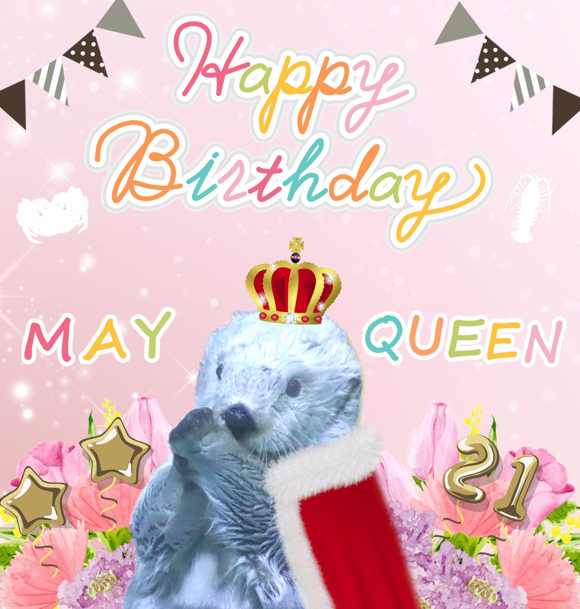 メイちゃんお誕生日おめでとう🎂🦀🦞
生まれてきてくれてありがとう
これからも大好きなキラちゃんや飼育員さん達と仲良く元気で長生きしてね🥰
