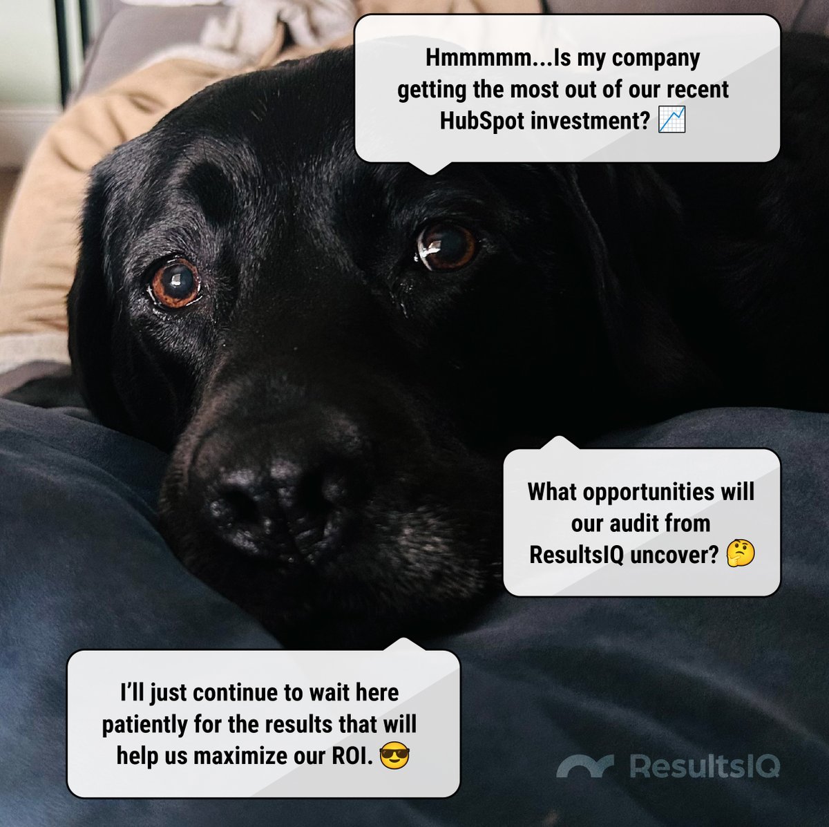 Is your <a href="/HubSpot/">HubSpot</a> portal really working for you? 🤔
Our audit uncovers missed opportunities &amp; boosts ROI.
No need to wait in the dark—let’s unlock real results. 🐾
🔍 Ready for clarity? Let’s talk: hubs.li/Q03lwwtx0

#ROI #BusinessGrowth #HubSpot #DigitalMarketing