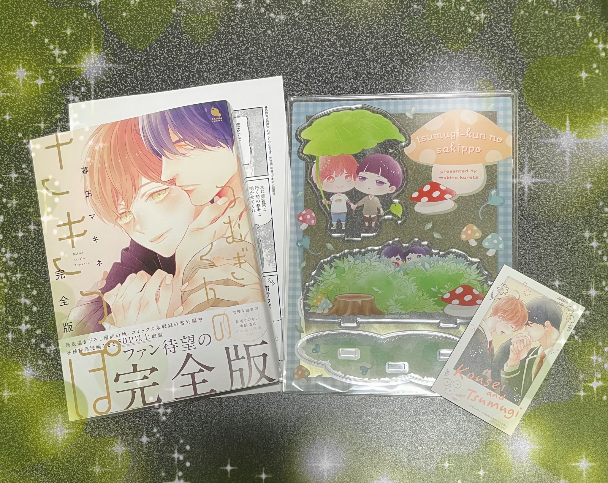 暮田マキネ 直筆イラストサイン本「木陰の欲望」