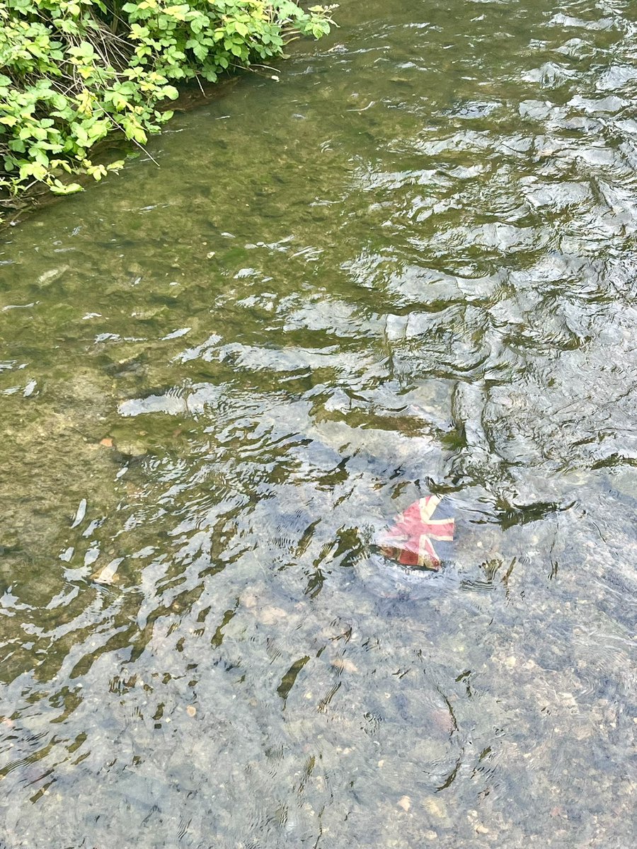 ParentProverbs's tweet image. Dad: actual live footage of Brexit 😆 😆 😆