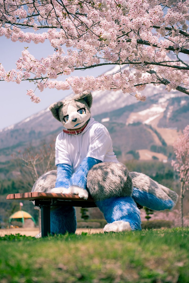 #FursuitFriday