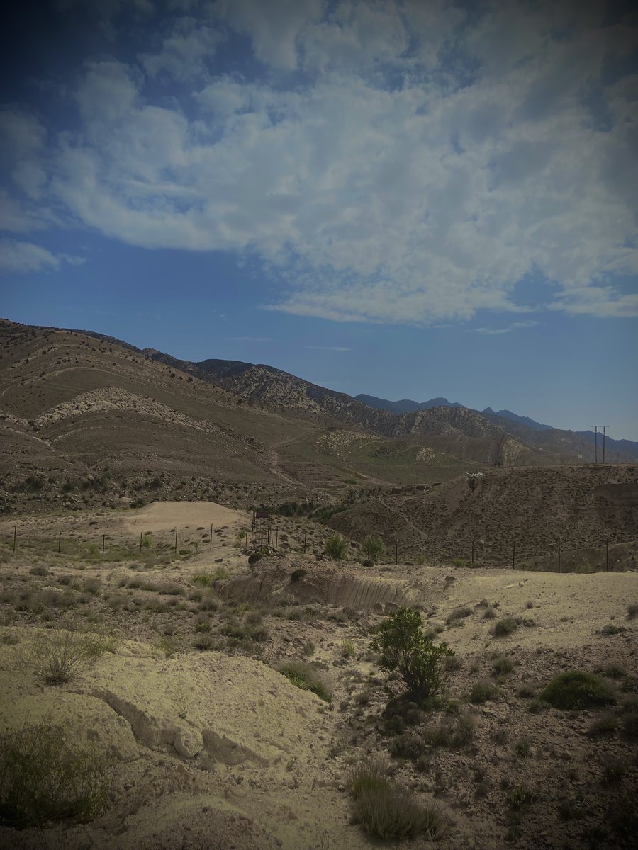 ⵣ🇩🇿 tweet media