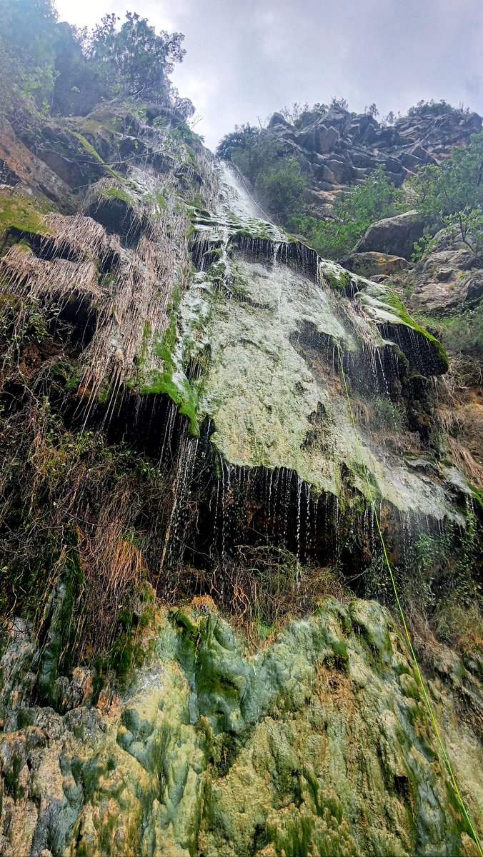 Pepino Acn tweet media