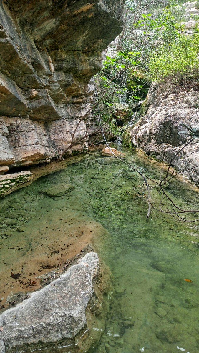 Un dels indrets més bonic de #LaSafor és possiblement el Racó del Duc 
ca.wikiloc.com/rutes-descens-… pertanyent a Vilallonga i on hi ha el Salt de la Font de la Mata situat dins del Barranc de la Parra. Podem fer el ràpel de 50 metres que amb aigua és una delícia.