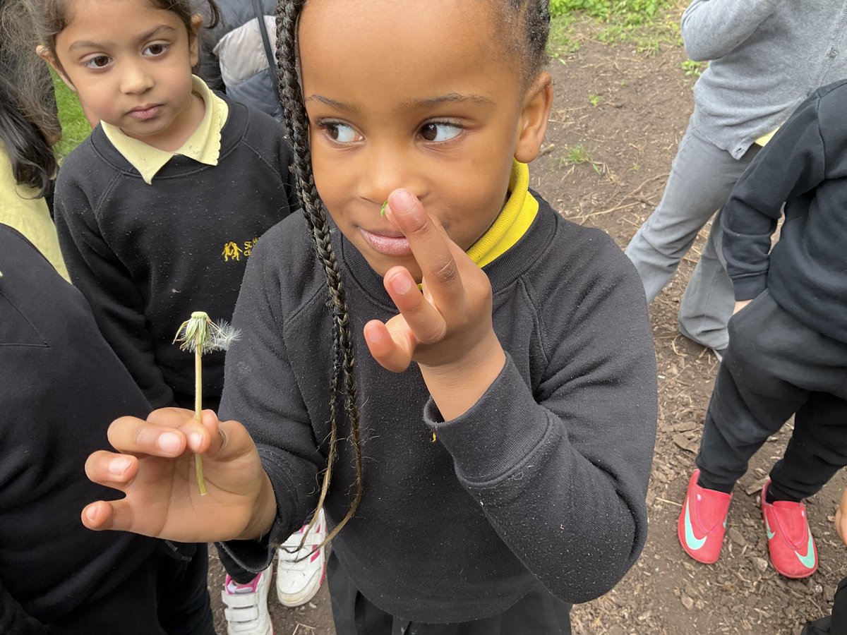 Reception have been to visit the garden this week to see what is growing. We have also been watching our bean plants grow in our outdoor area. Next week they will begin to draw their own pictures of our school's plants.