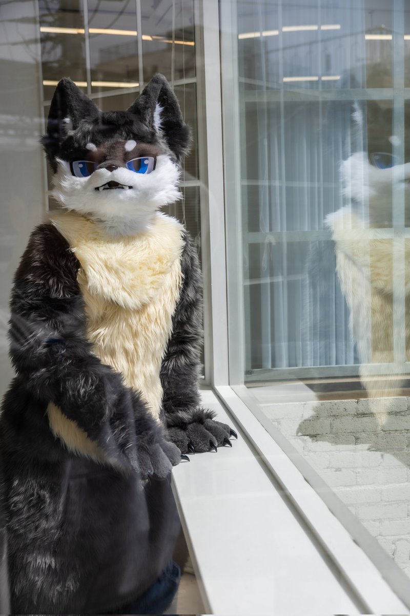 #FursuitFriday #fursuit 
#Glücks_Sieben

어디 보자...
ㅓㅜ, 언제 오셨어요?

Foto von <a href="/Kylier_K/">카일리어🔜퍼클</a>
