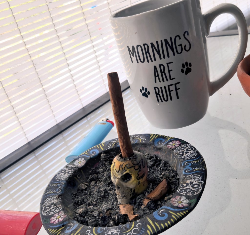 🍑ℙ𝕖𝕒𝕔𝕙𝕖𝕤🍃💨 tweet media