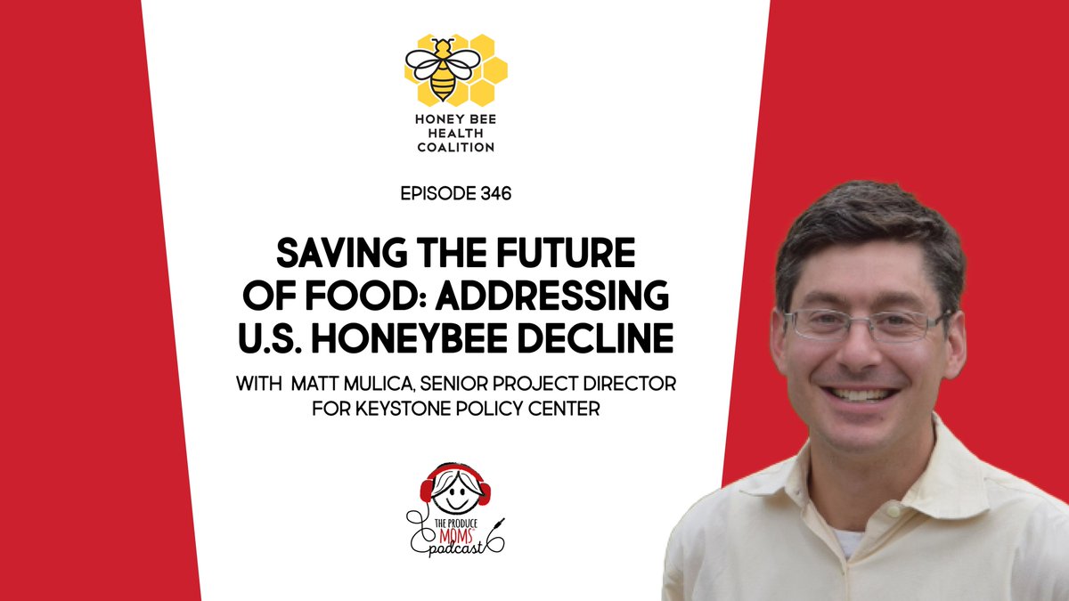 Keystone Policy Ctr (@thekeystonectr) on Twitter photo Matt Mulica, senior project director at Keystone, recently joined <a href="/theproducemoms/">The Produce Moms</a> podcast to talk about <a href="/beehealthorg/">Bee Health Coalition</a>, the critical role honey bees play in agriculture, and this year's devastating colony loss. keystone.org/keystone-discu… Matt Mulica, senior project director at Keystone, recently joined <a href="/theproducemoms/">The Produce Moms</a> podcast to talk about <a href="/beehealthorg/">Bee Health Coalition</a>, the critical role honey bees play in agriculture, and this year's devastating colony loss. keystone.org/keystone-discu…